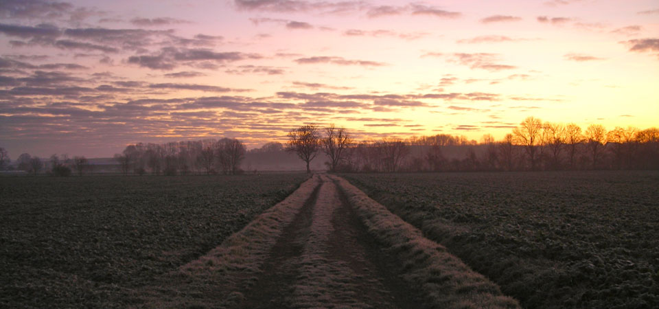 Good Morning this Autumn