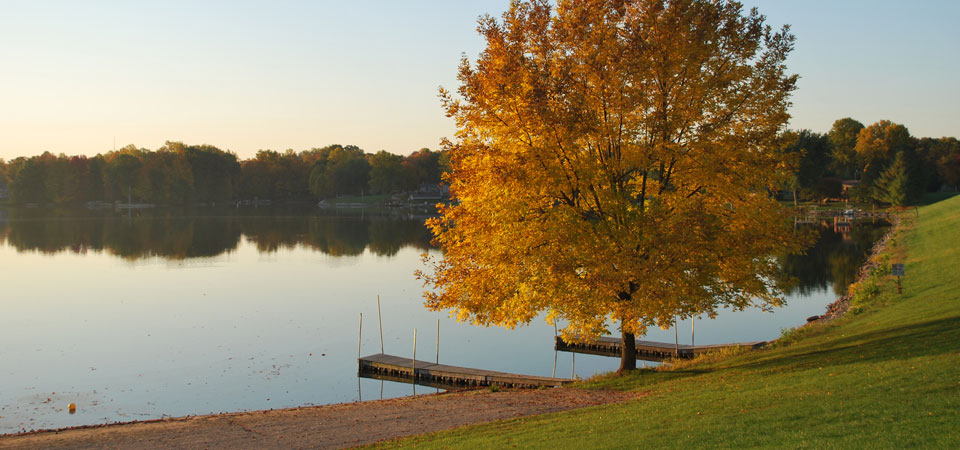 Good Morning this Autumn