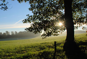 It's Morning time in Autumn