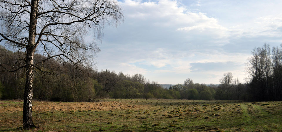 Good Afternoon this Spring