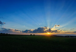 It's Evening time in Summer