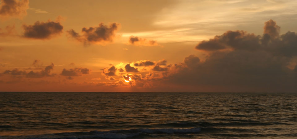 Good Night this Summer