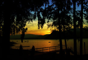 It's Night time in Summer